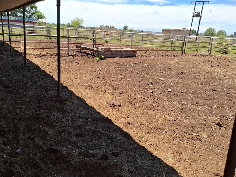 2 House Farm For Sale in Klerksdorp Rural, Klerksdorp, North West - Photo 4