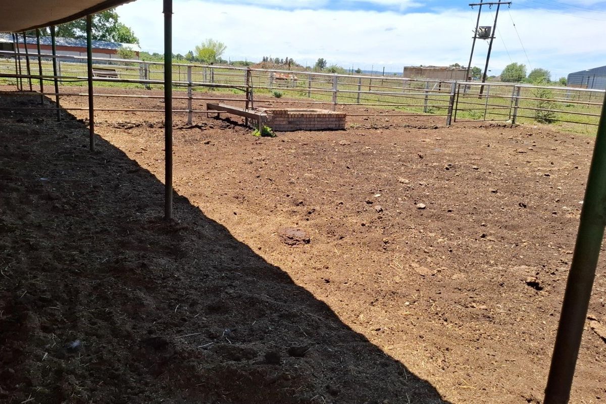 2 House Farm For Sale in Klerksdorp Rural, Klerksdorp, North West - Photo 4