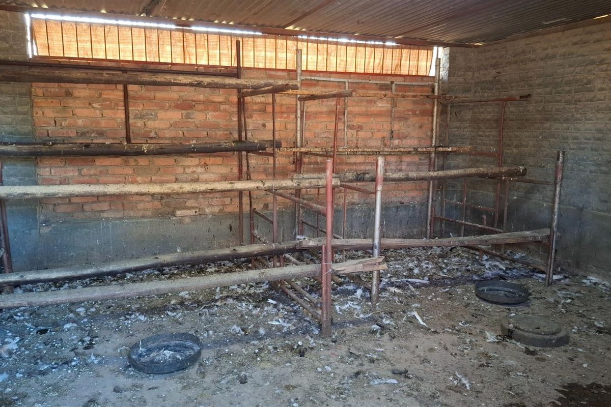 2 House Farm For Sale in Klerksdorp Rural, Klerksdorp, North West - Photo 5