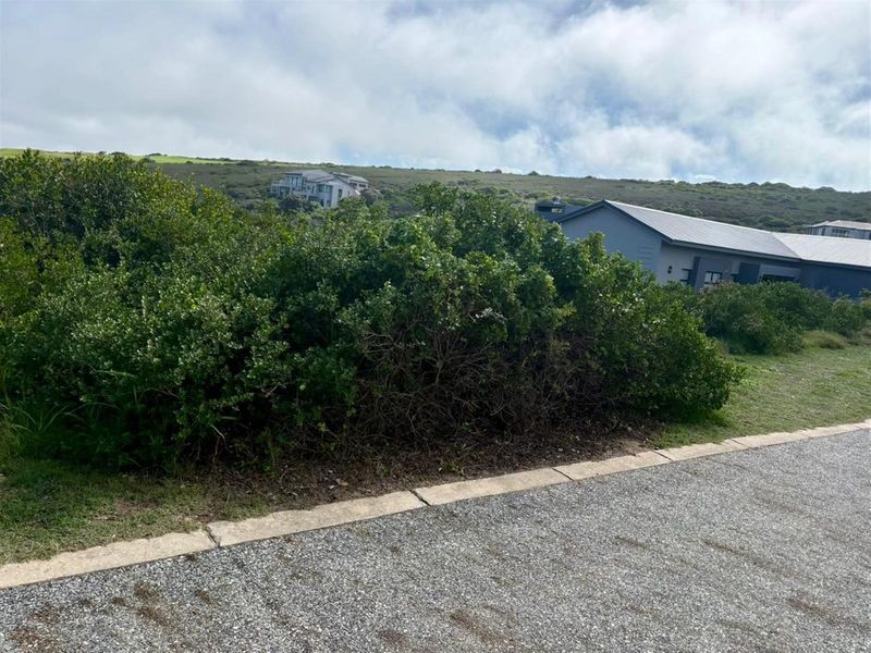 Scenic Ocean and Valley Views Vacant Stand! - Photo 10