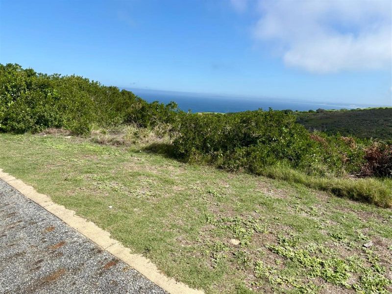 Scenic Ocean and Valley Views Vacant Stand! - Photo 8