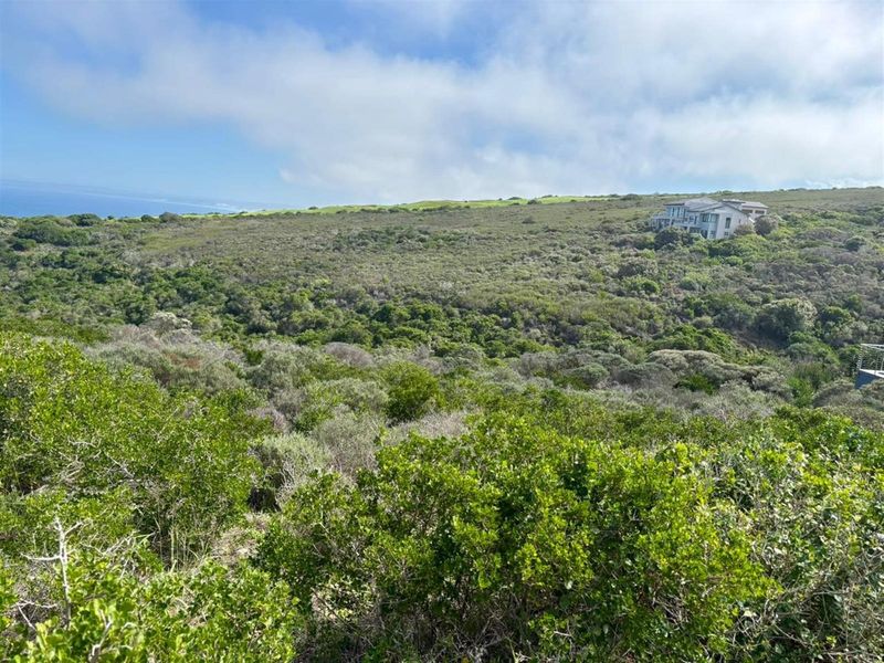 Scenic Ocean and Valley Views Vacant Stand! - Photo 4