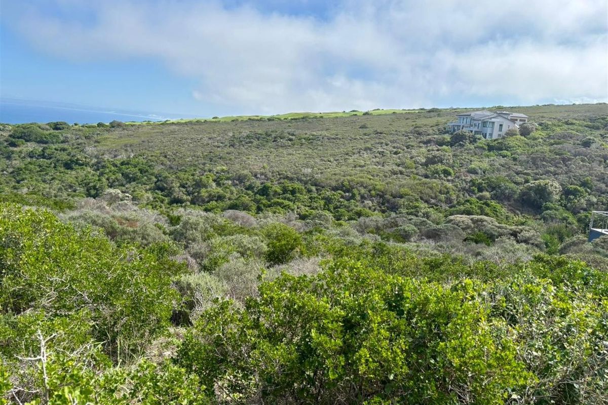 Scenic Ocean and Valley Views Vacant Stand! - Photo 4