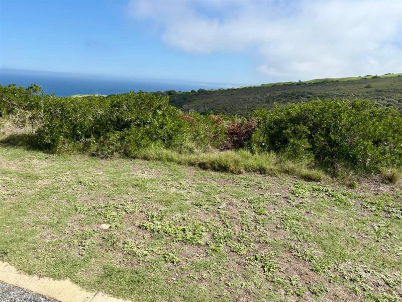 Scenic Ocean and Valley Views Vacant Stand! - Photo 2