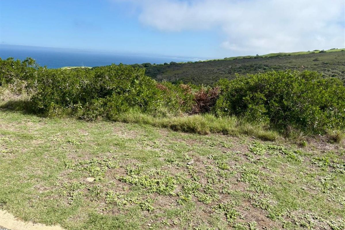 Scenic Ocean and Valley Views Vacant Stand! - Photo 2