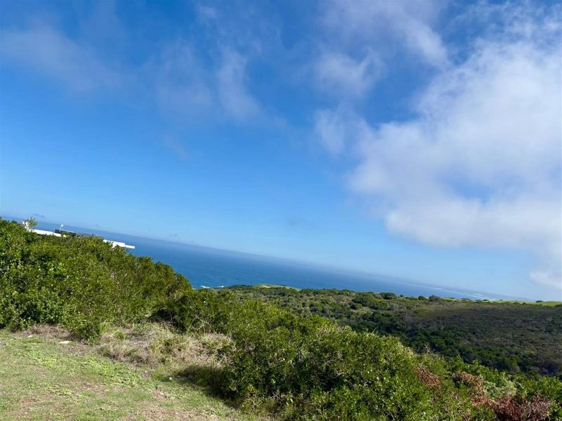 Scenic Ocean and Valley Views Vacant Stand! - Photo 3