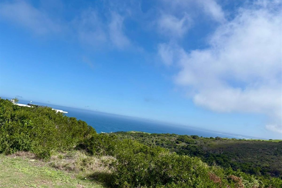 Scenic Ocean and Valley Views Vacant Stand! - Photo 3