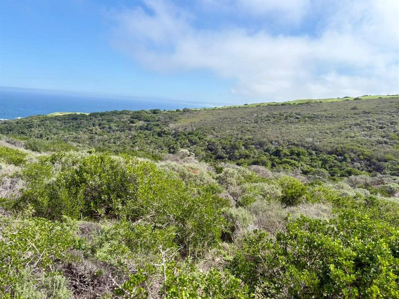 Scenic Ocean and Valley Views Vacant Stand! - Photo 5