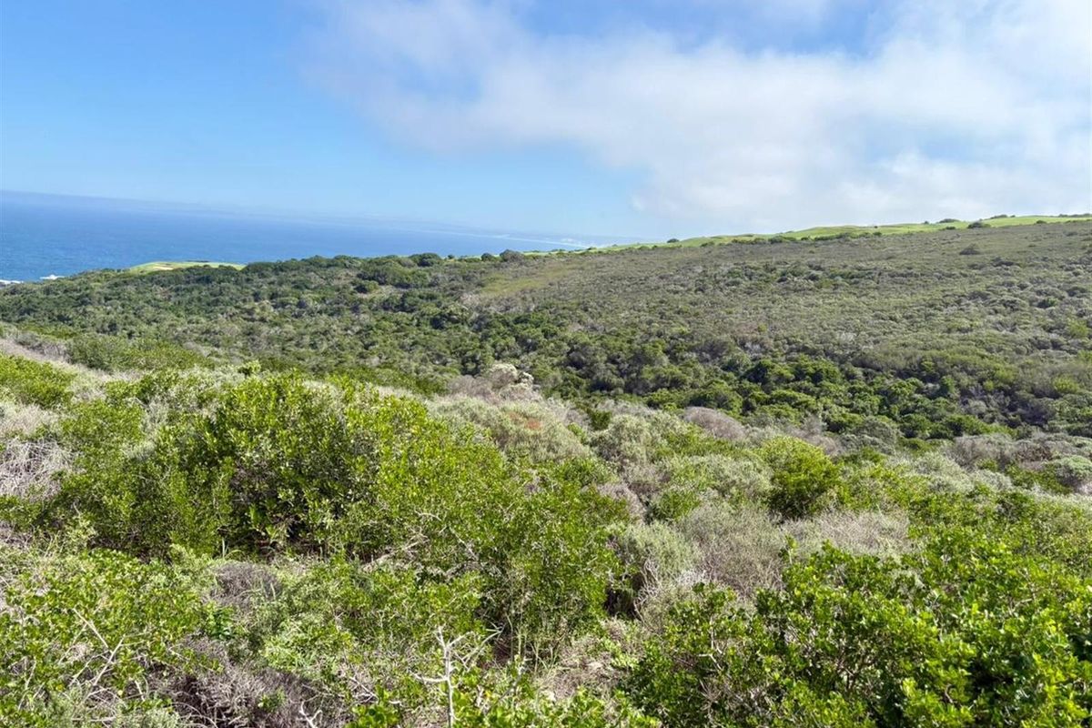 Scenic Ocean and Valley Views Vacant Stand! - Photo 5