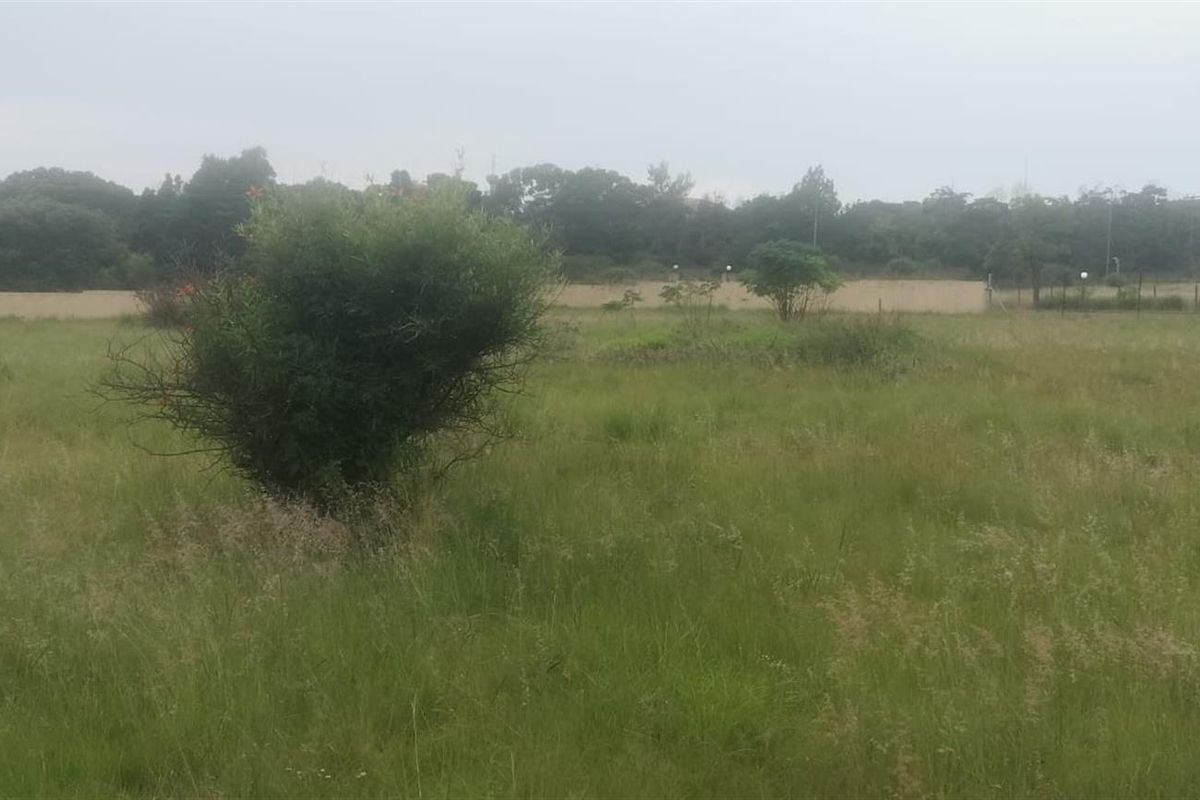 1 hactare Vacant Land for sale in Mnandi,Centurion - Photo 4