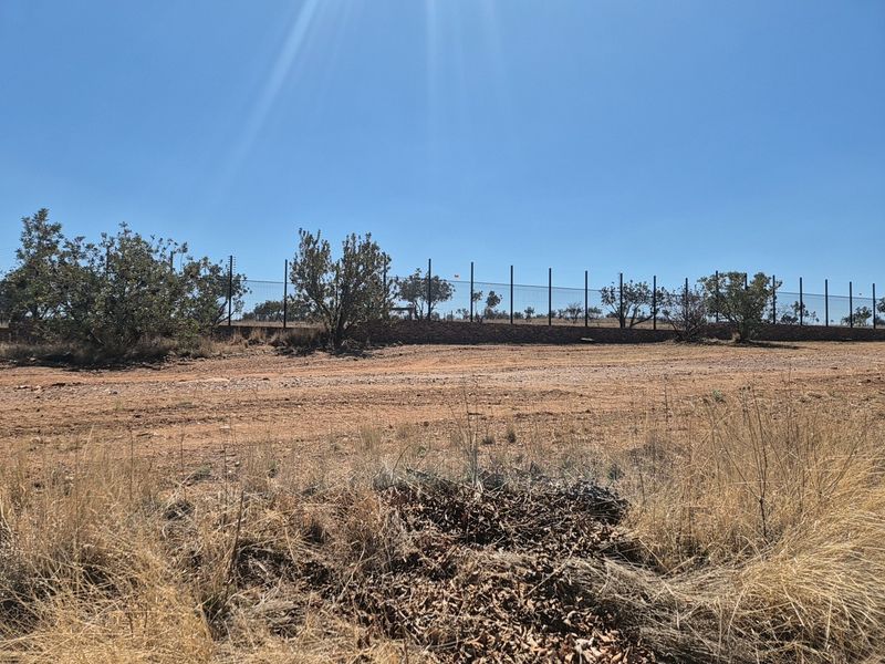 A view of a vacant residential plot featuring dry grass, mature trees, a stone retaining wall, and perimeter fencing.