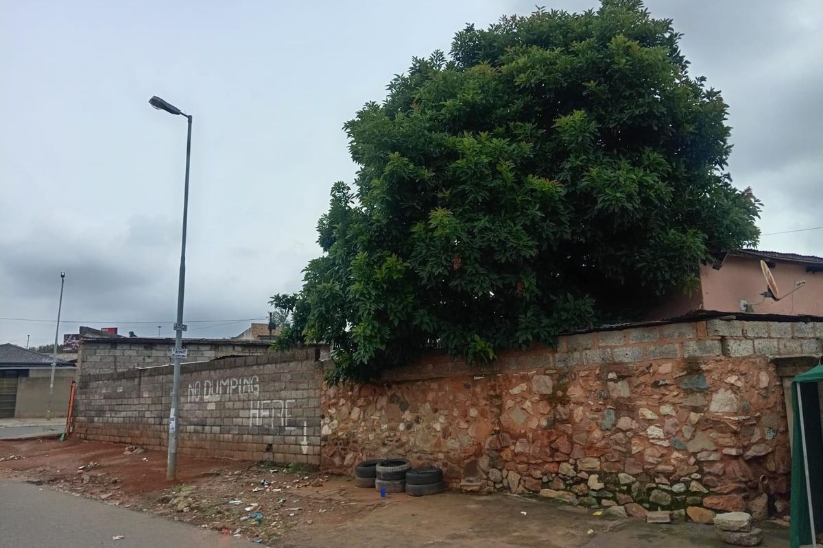 Street view of a residential property boundary featuring a combination of stone and concrete block walls with an established tree.