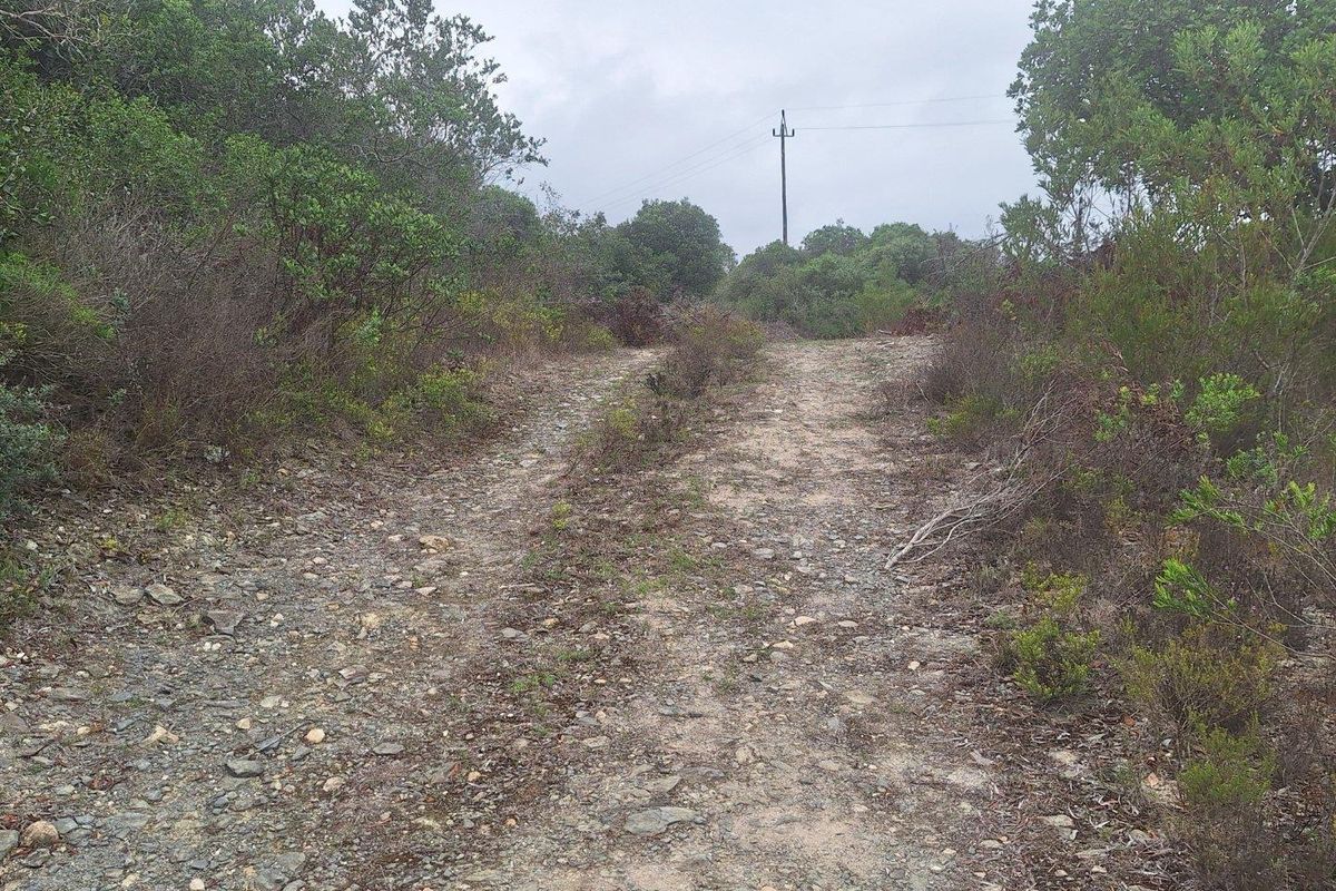 Vacant Land For Sale in Riverside Stilbaai - Photo 4
