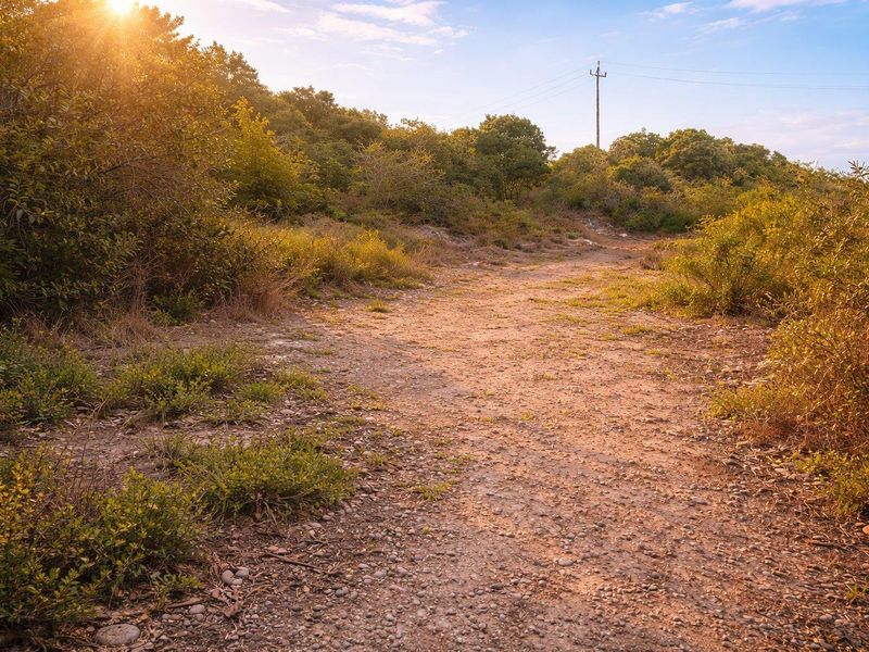 A view of a vacant residential plot featuring natural vegetation, a dirt access path, and an overhead utility pole.