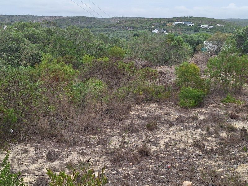 A view of the vacant residential land featuring natural coastal vegetation and surrounding landscape.