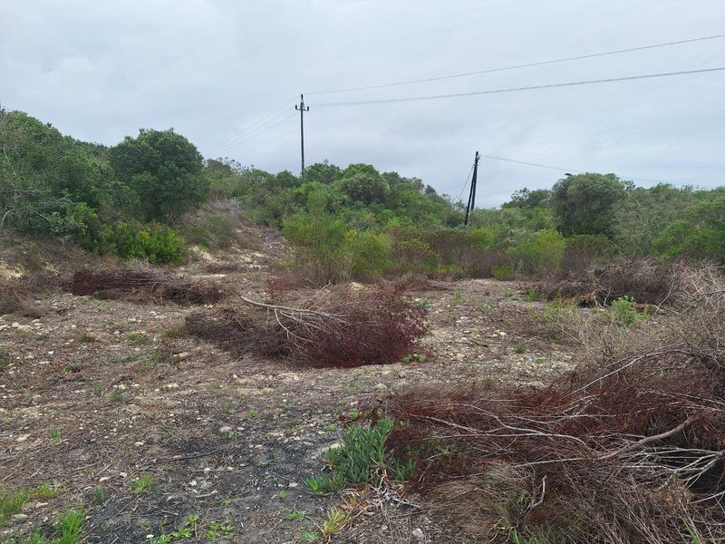 A vacant residential plot featuring natural vegetation, scattered brush, and overhead utility lines, offering a blank canvas for future development.