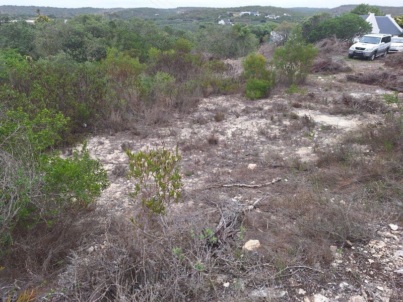 A view of a vacant residential plot featuring natural coastal vegetation and surrounding landscape.