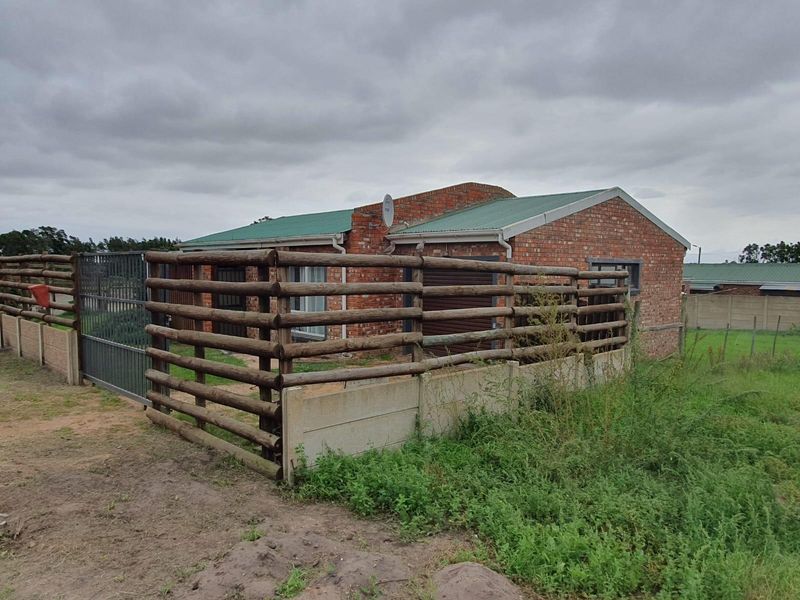 Easy Living in the Heart of Albertinia - Photo 4