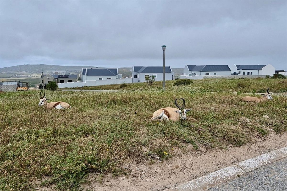 Prime 605m2 Stand with Sea Views in Hoogland Mountain Estate, Saldanha - Photo 4