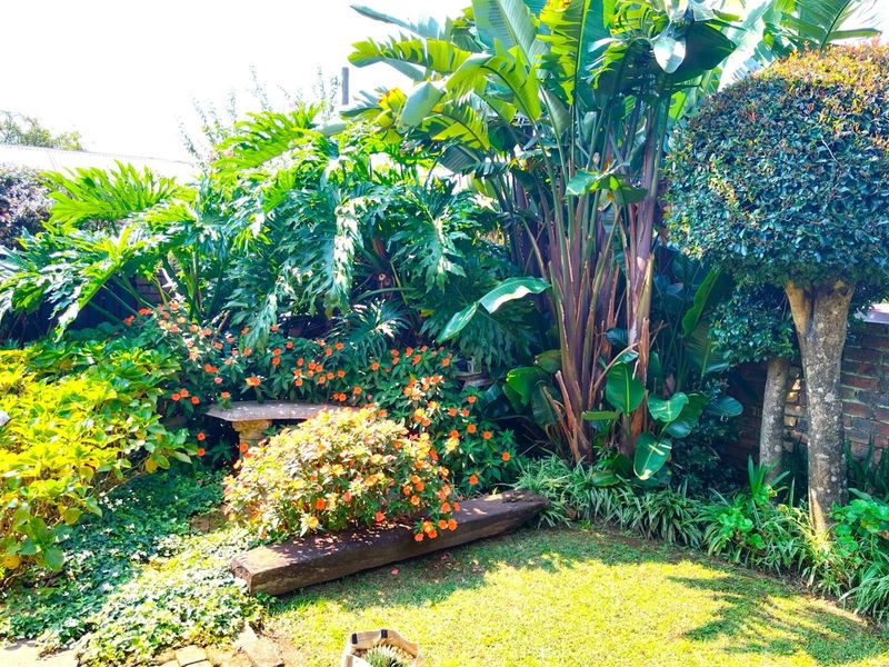 GRASKOP HOUSE FOR SALE - Photo 9