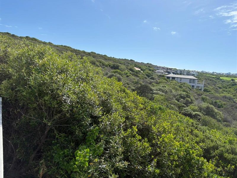 Exceptional Cul-de-Sac Vacant Stand With Building Plans! - Photo 9