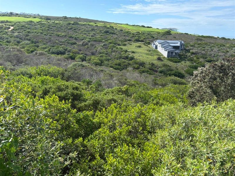 Exceptional Cul-de-Sac Vacant Stand With Building Plans! - Photo 8