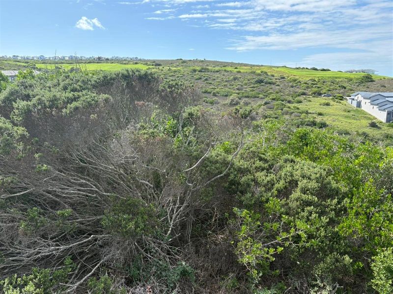 Exceptional Cul-de-Sac Vacant Stand With Building Plans! - Photo 4
