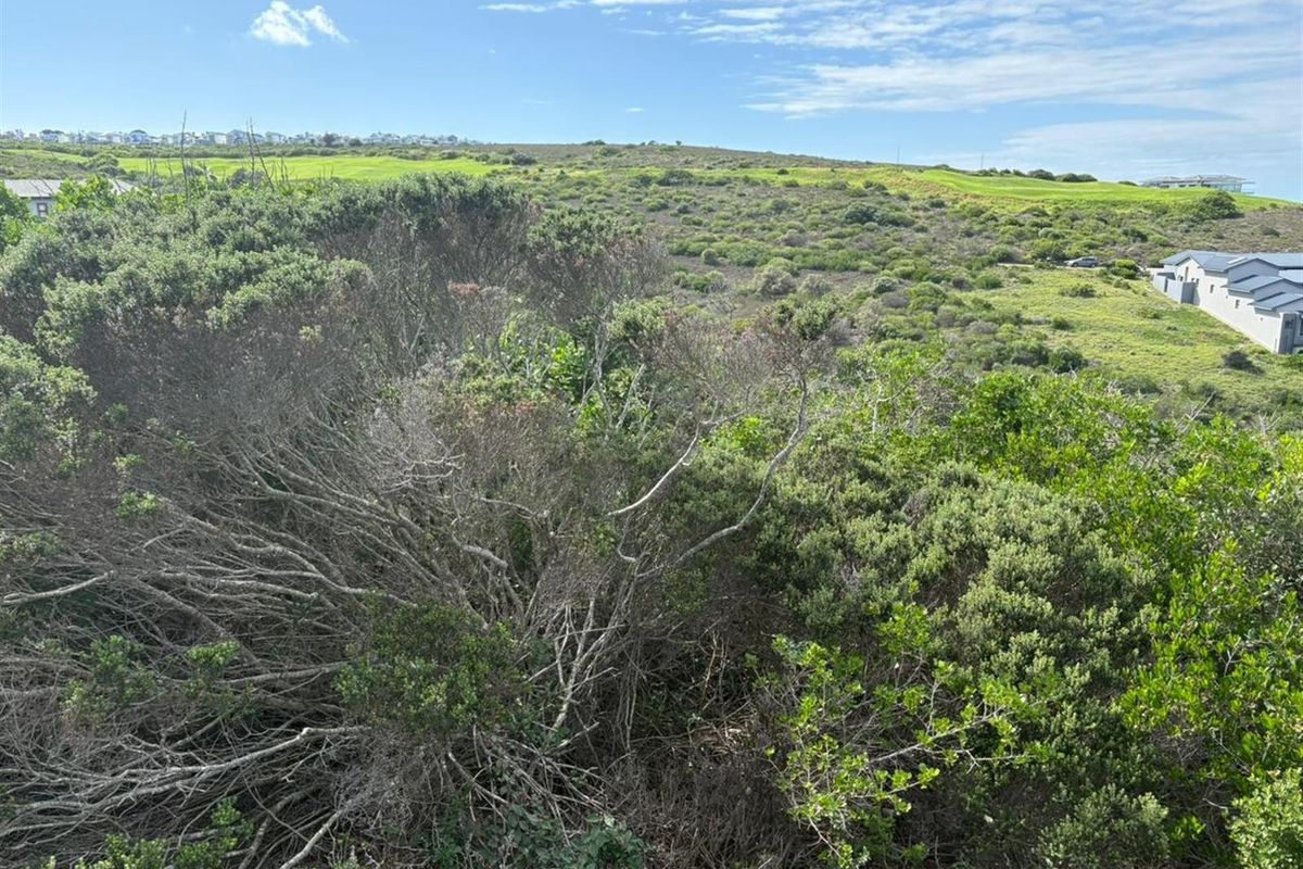 Exceptional Cul-de-Sac Vacant Stand With Building Plans! - Photo 4