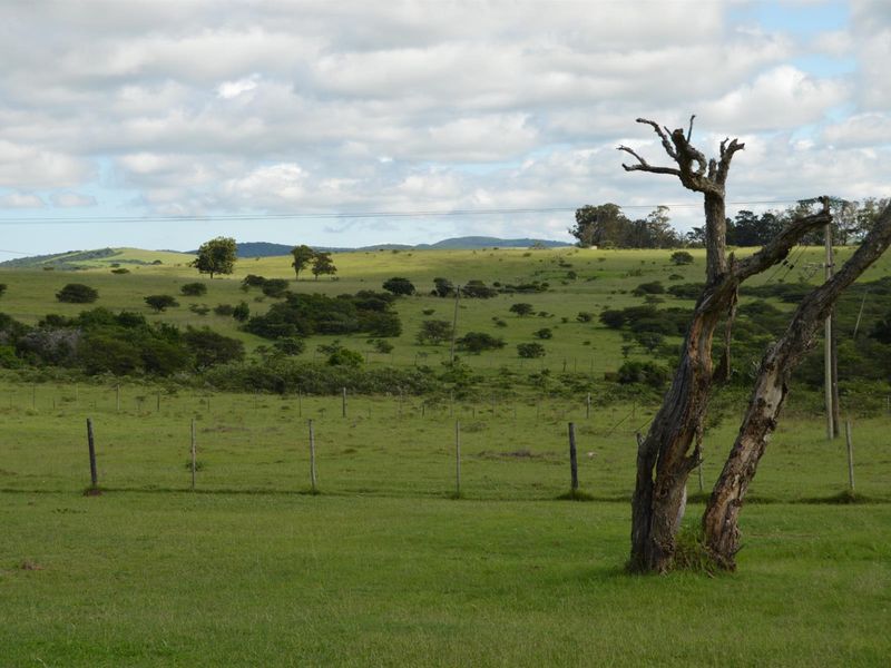 Expansive rural landscape view featuring rolling green hills, open pasture land, and perimeter wire fencing on a small holding.