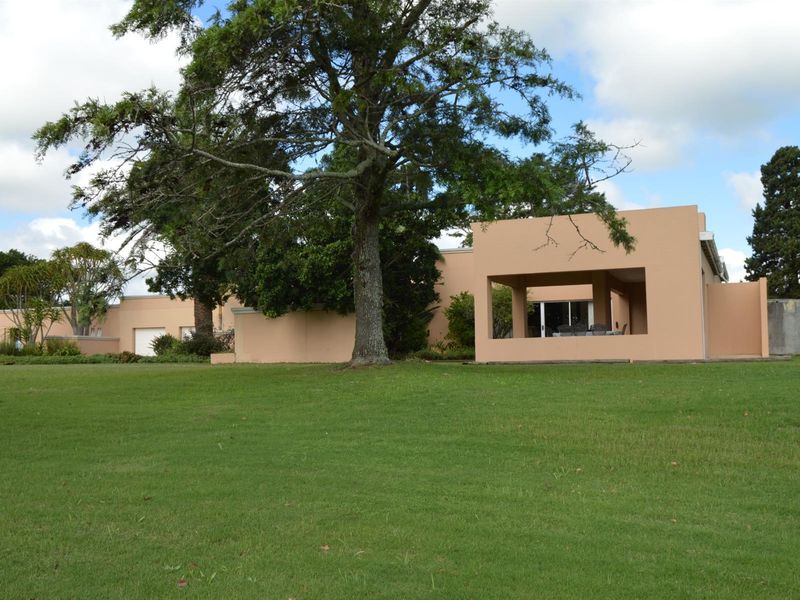 Rear view of the property featuring a covered patio area, expansive lawn, and mature landscaping.