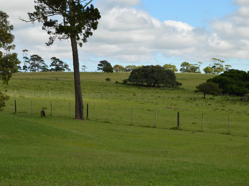 A scenic view of the expansive green pasture and rolling landscape on the small holding, featuring established trees and wire boundary fencing.