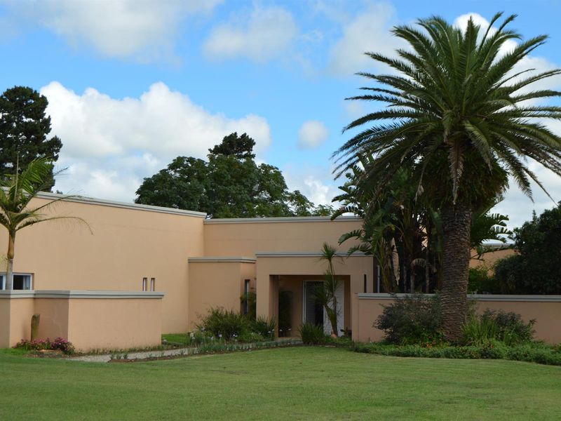 A well-maintained front exterior view of the property featuring a clean plastered facade, covered entrance, and established garden with a prominent palm tree.