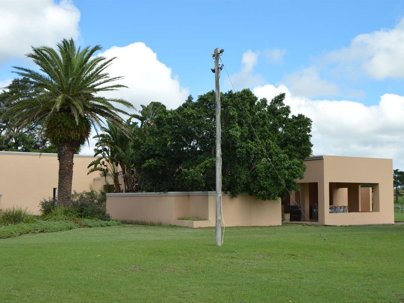 Rear view of the property featuring a covered patio area, established garden, and boundary walling on a spacious small holding.