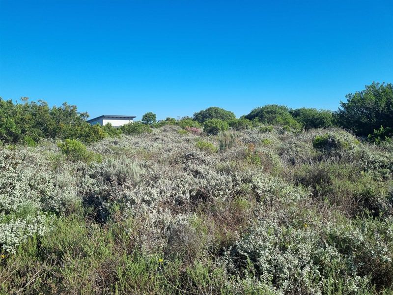 Vacant Land For Sale in Fernwood Estate, Knysna - Photo 6