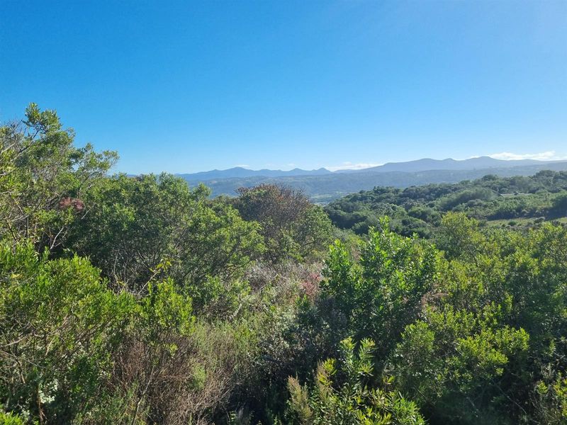 Vacant Land For Sale in Fernwood Estate, Knysna - Photo 9