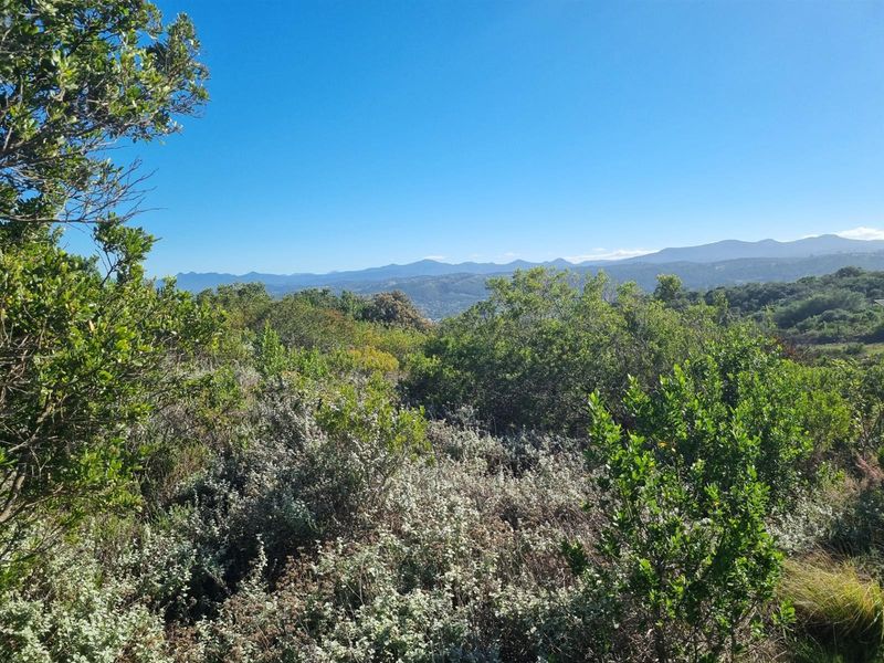 Vacant Land For Sale in Fernwood Estate, Knysna - Photo 8
