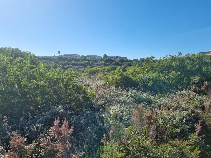 Vacant Land For Sale in Fernwood Estate, Knysna - Photo 10