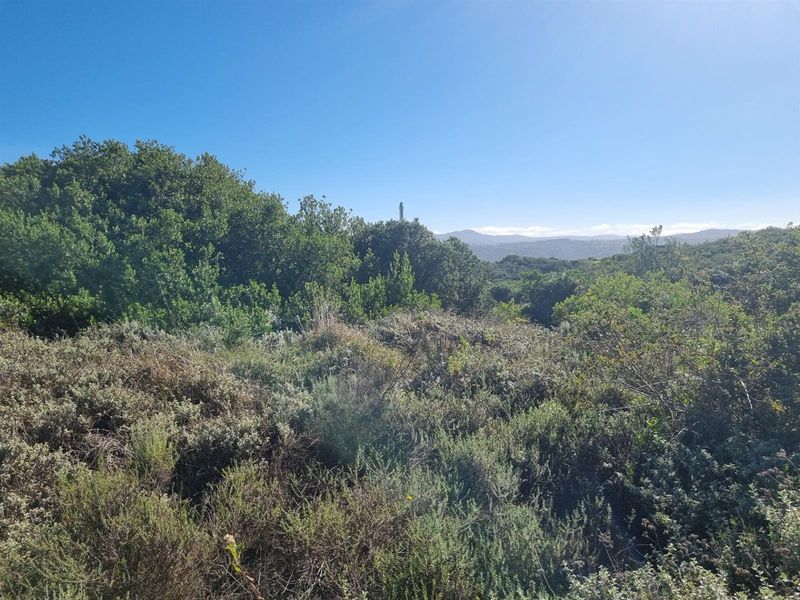Vacant Land For Sale in Fernwood Estate, Knysna - Photo 7