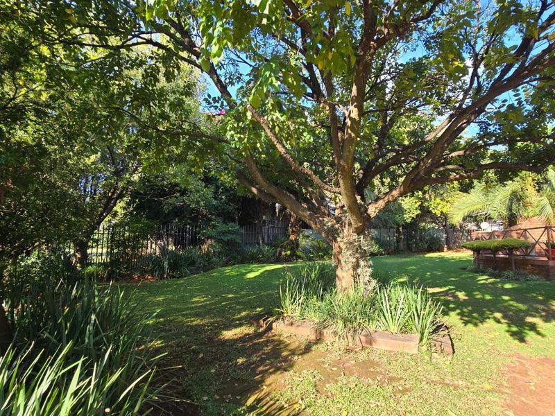 Beautiful Family Living with Entertainer’s Garden and Poolside Charm - Photo 4