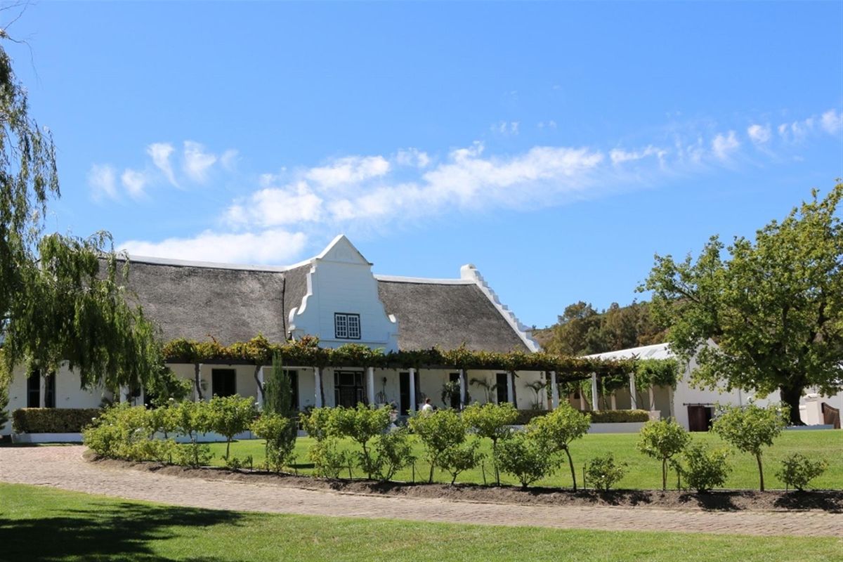 Linton Park Wine Estate - A Rare South African Historical Wine Legacy - Photo 4
