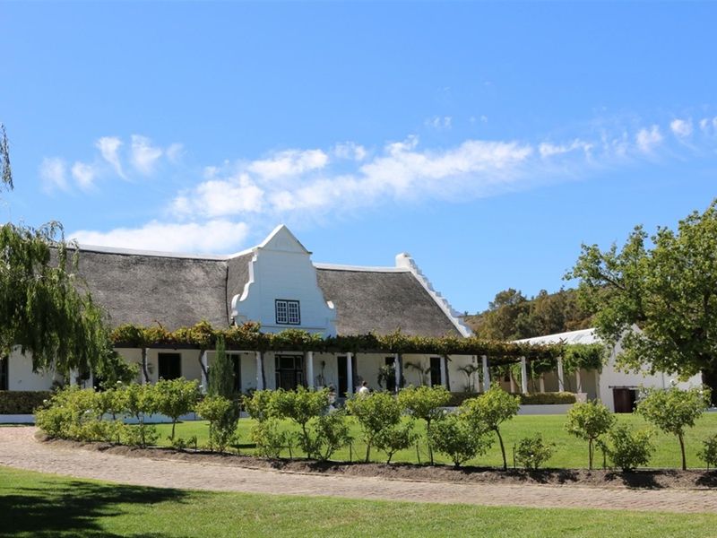 A charming Cape Dutch style farmhouse featuring a traditional thatched roof, gabled facade, and a vine-covered pergola overlooking a well-maintained garden and paved driveway.