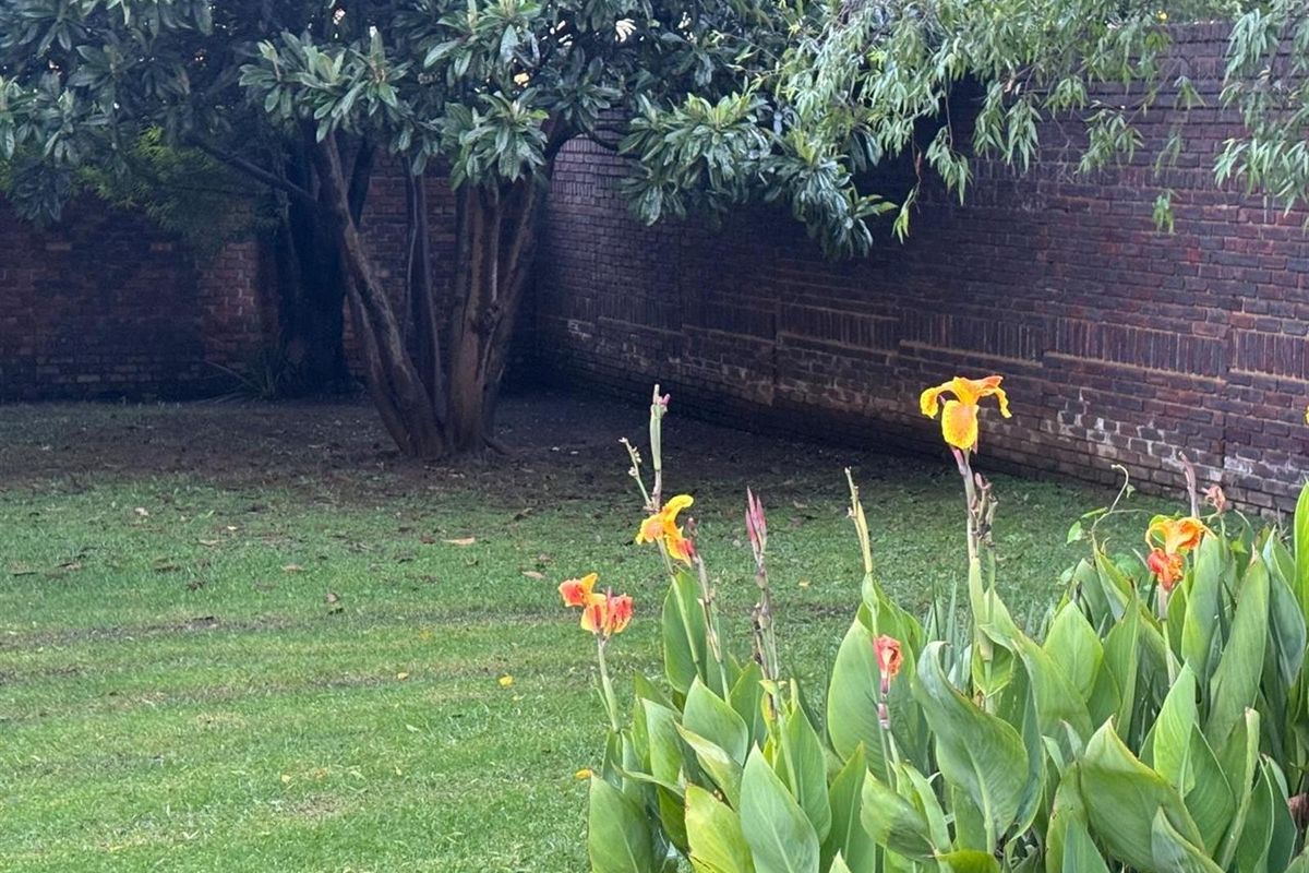 Fully Let Investment Gem | Prime Little Falls | Immediate Returns - Photo 5