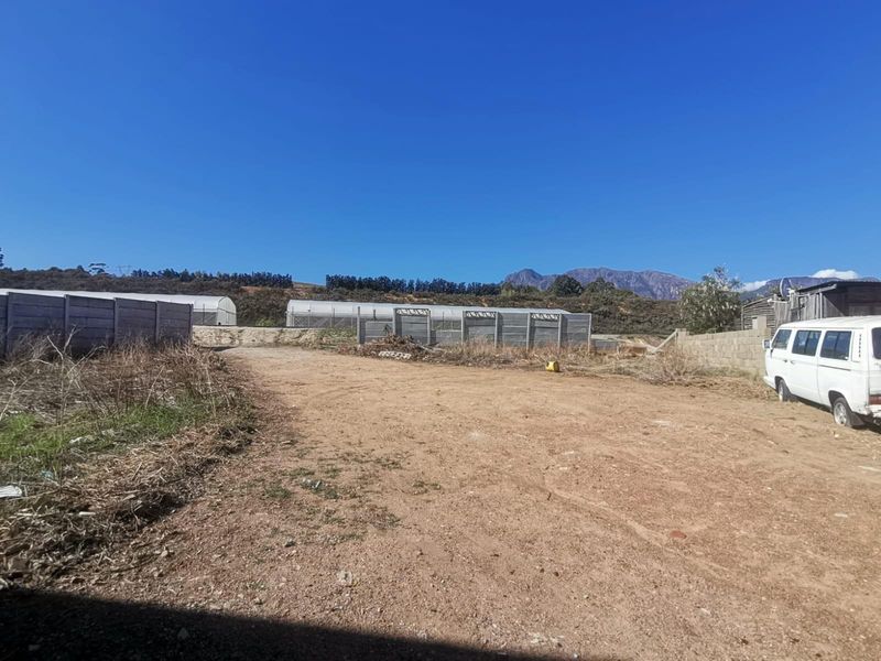 Vacant Stand for Sale in Newton, Wellington - Photo 8