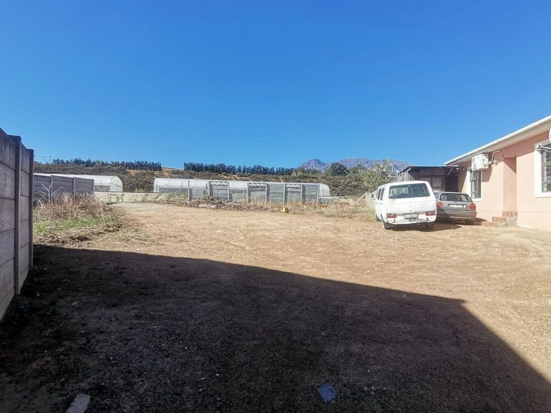 Vacant Stand for Sale in Newton, Wellington - Photo 4