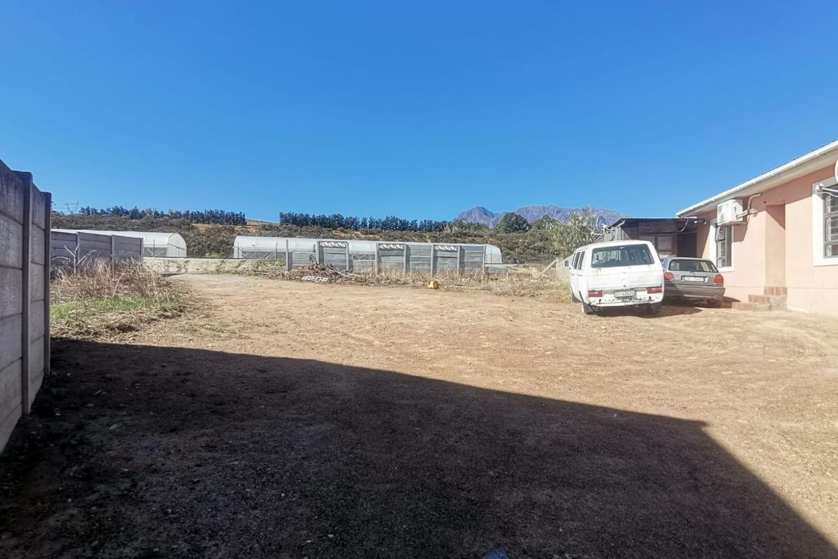 Vacant Stand for Sale in Newton, Wellington - Photo 4