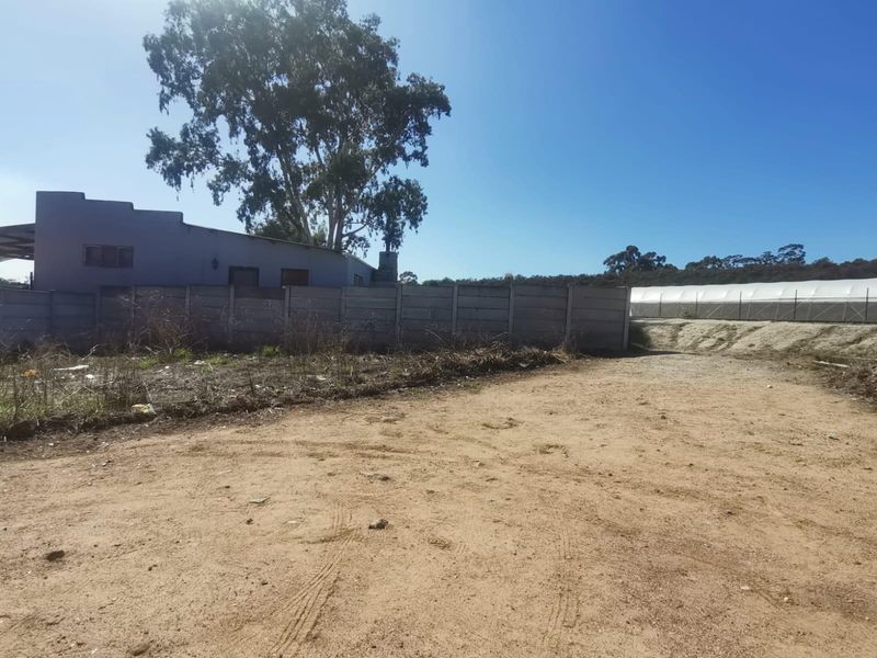 Vacant Stand for Sale in Newton, Wellington - Photo 3