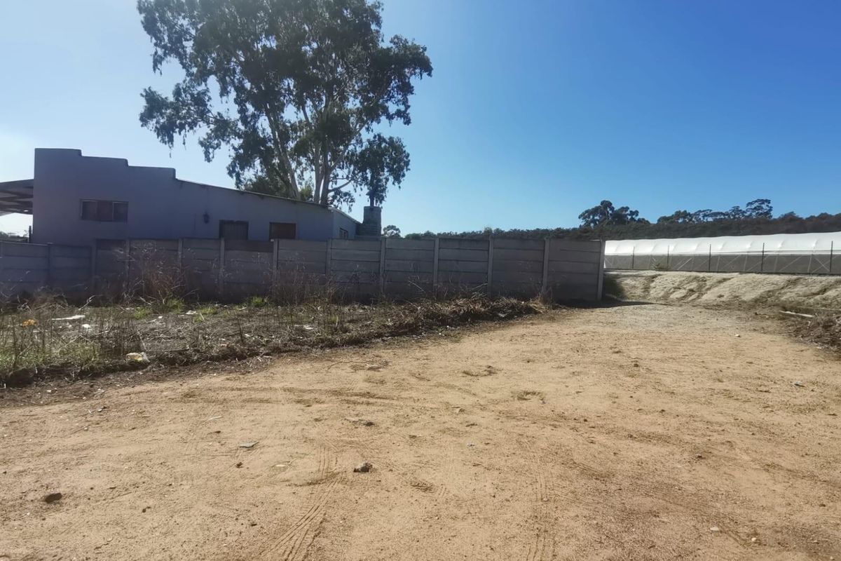 Vacant Stand for Sale in Newton, Wellington - Photo 3