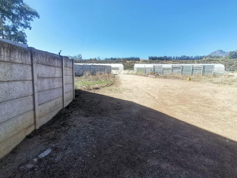 Vacant Stand for Sale in Newton, Wellington - Photo 7