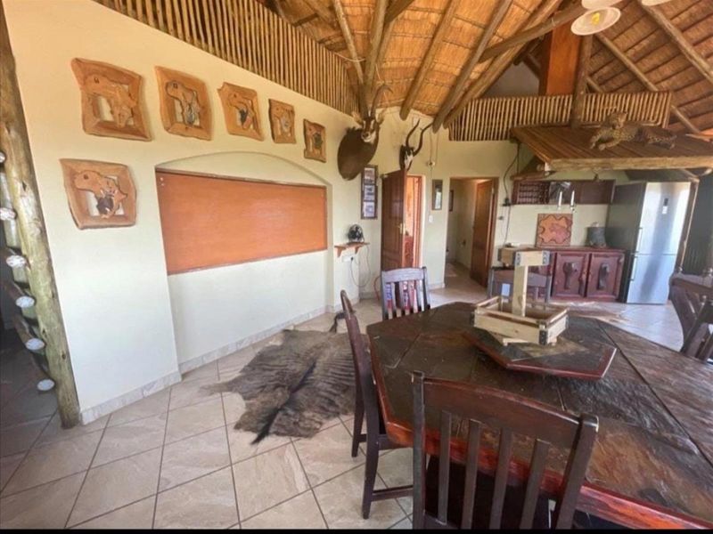 900Ha Game Farm with Luxury Lodge and Full Solar Exceptional Investment Opportunity - Photo 5