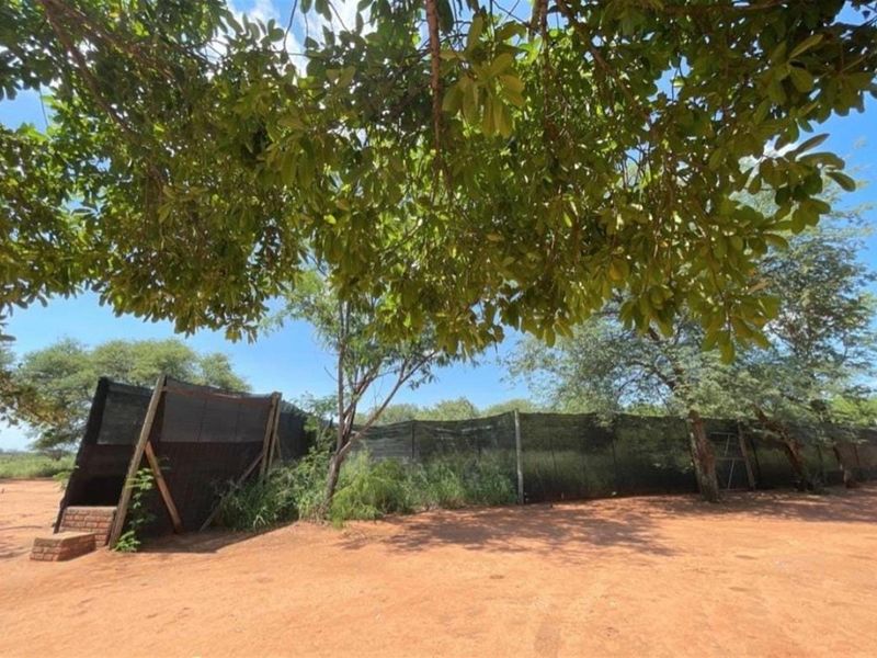 900Ha Game Farm with Luxury Lodge and Full Solar Exceptional Investment Opportunity - Photo 4